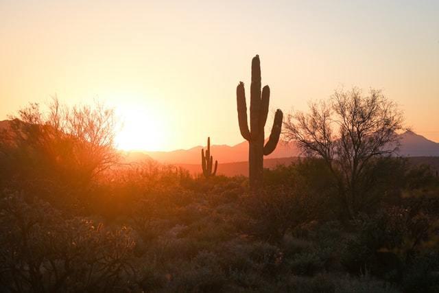 Phoenix, AZ